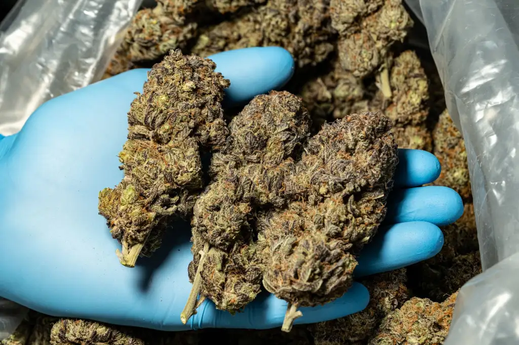 贵州企业仓储数字化转型中扫码出入库软件的实施要点
