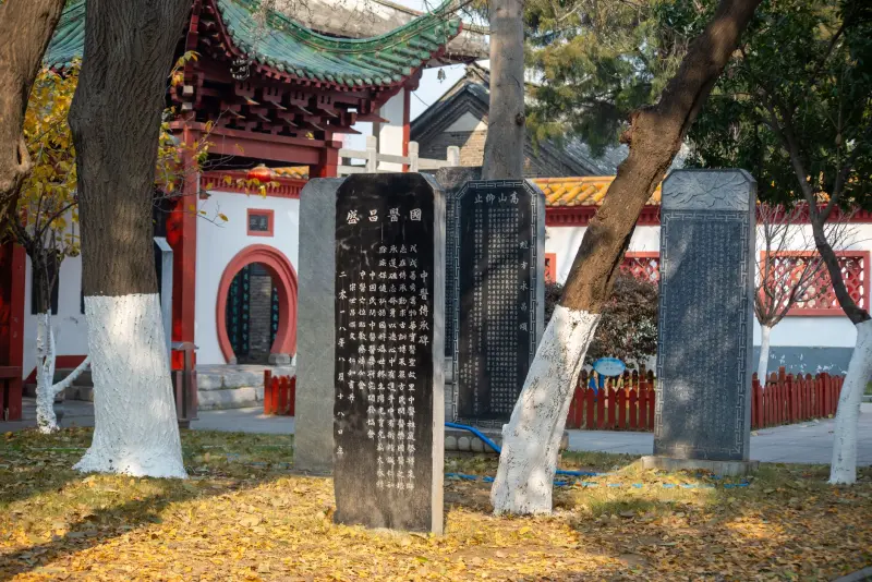 扫码出入库软件与批次管理软件功能差异对比及选型建议